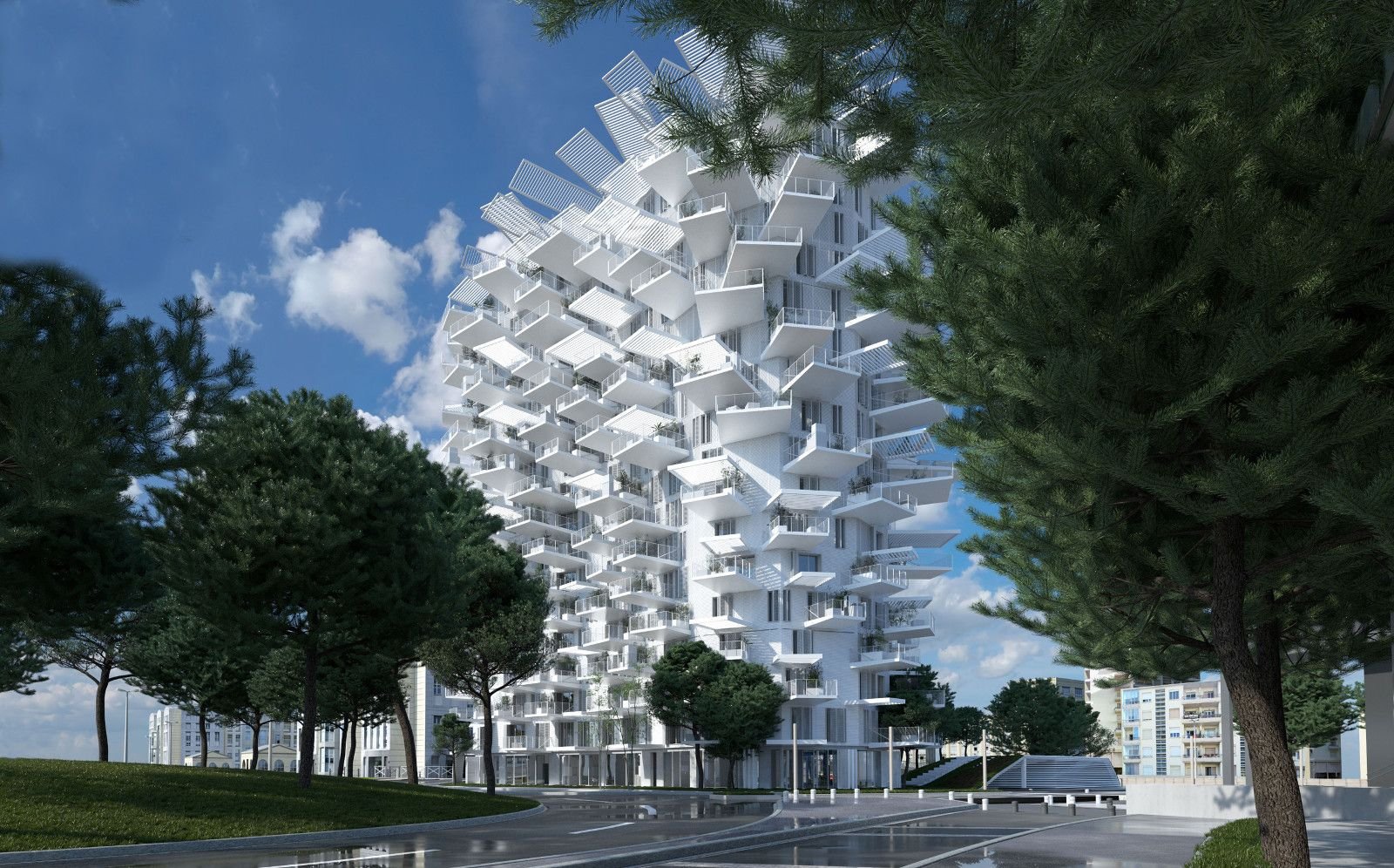Arbre-Blanc-Image_Page_3