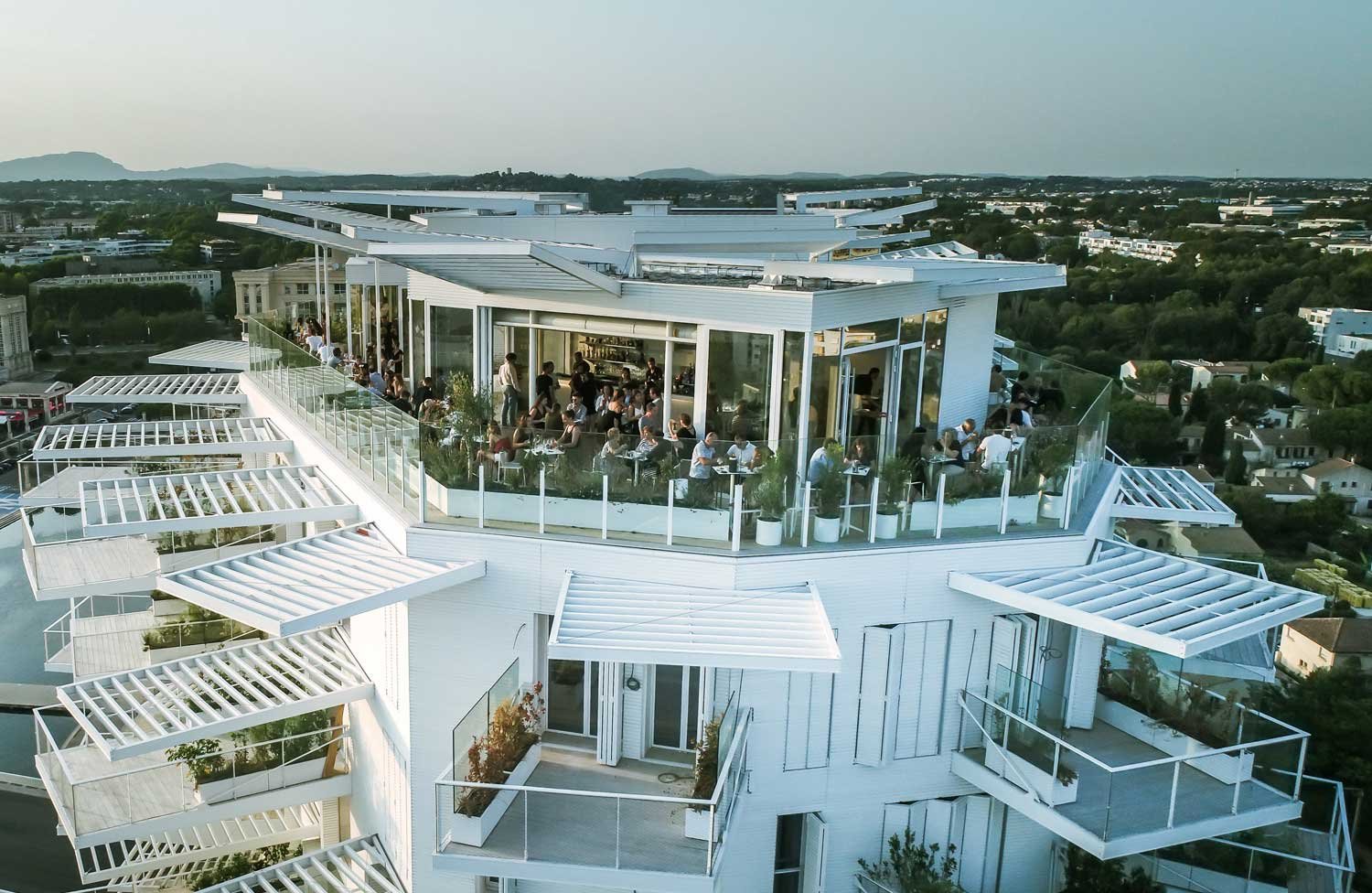 arbre-blanc-le-bar-le-toit-terrasse